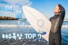 여름 여행지 추천, 구글 검색량 ‘껑충’ 해수욕장 TOP 7(시원한 여름 여행지 OK)