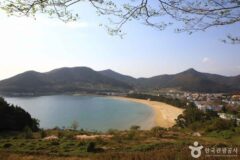 만경창파부터 편백숲까지!…’ 남해 여행꼭 챙겨볼 코스는?’