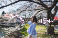 서촌 가볼 만한 곳 BEST 4 로맨틱한 종로 데이트 코스 추천