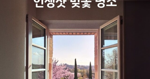 쏘카, 이용자들이 가장 많이 간 벚꽃 명소는 경주 대릉원