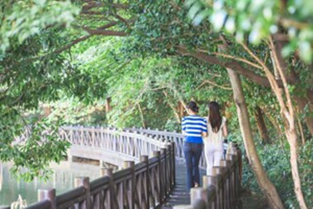 완도 가볼 만한 곳, 웰니스 관광으로 딱 좋은 완도에서의 힐링 여행
