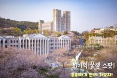 경희대 근처 회기역 놀거리 BEST 4 이거 몰랐다면 후회할 뻔!