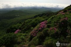 제주 가볼만한 곳 드라이브와 힐링 여행지