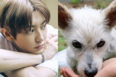 EXO 찬열, 동물자유연대에 3천만 원 기부…’전액 처방사료 제공에 사용’