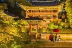 빛으로 물든 봄 밤, 2025 서울 고궁 행사 모음 #가볼만한곳