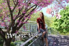 한국 벚꽃 종류로 알아보는 봄 풍경 베스트(+종류별 벚꽃 명소 총정리)