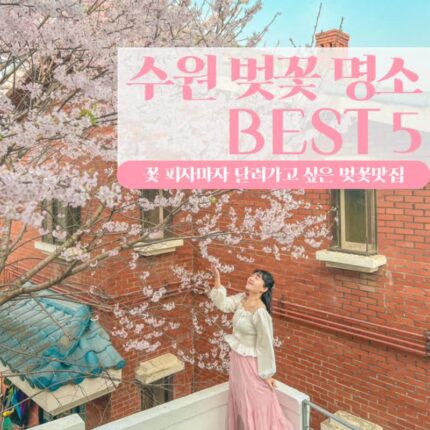 경기도 수원벚꽃명소 4월 국내여행지 추천 5곳