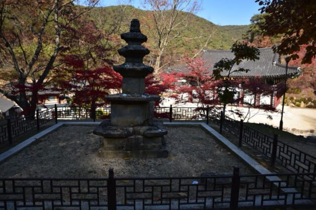 의성 산불로 전소된 천년 고찰 고운사, 천년 숲길 옛 모습