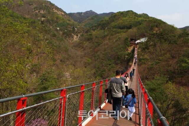 파주, 서울 근교 나들이 어디로 갈까? 꼭 가봐야 할 명소들