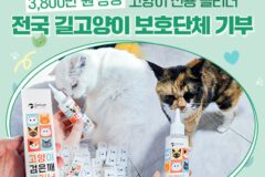 울지마마이펫, 길고양이 보호단체에 3천8백만 원 상당 물품 기부