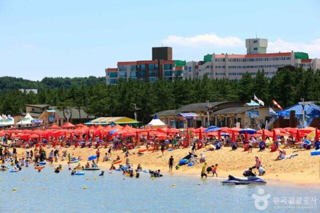 “해수욕장부터 걷기 좋은 해변까지”… 속초 가볼만한곳 어디?