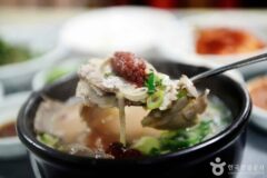 부산역 근처 맛집 어디 갈까?