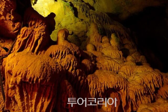 영월 이번 주 가볼만한 명소는 어디