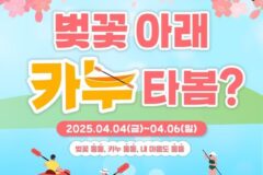 군산 은파호수공원, 벚꽃 아래 카누 타며 봄 즐기기