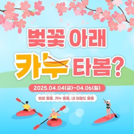 군산 은파호수공원, 벚꽃 아래 카누 타며 봄 즐기기