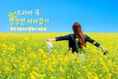 폭싹 속았수다에 나온 드라마 촬영지는 어디? 고창 가볼 만한 곳 추천