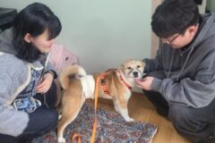 사천시, 유기동물 입양률 경남 1위 달성…’사지 말고 입양하는 생명존중 문화 확산 중’