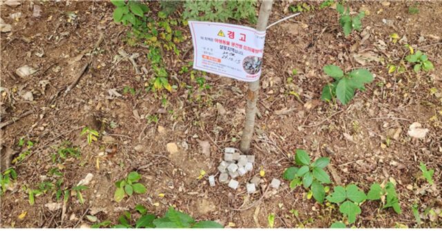‘만지지 마세요!’ 서울시, 봄철 야생동물 ‘광견병 미끼 예방약’ 살포