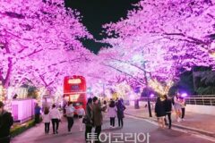 대구 가볼만한곳 TOP10, 현지인도 반한 진짜 명소는?