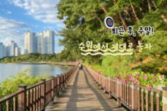 수원 놀거리 베스트 스팟! 인싸력 풀 충전 수원 데이트 코스 추천(수원 당일치기 여행 OK)