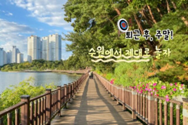 수원 놀거리 베스트 스팟! 인싸력 풀 충전 수원 데이트 코스 추천(수원 당일치기 여행 OK)