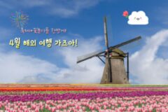 4월 해외 여행지 TOP 5 봄 축제와 함께할 수 있는 해외 여행 추천