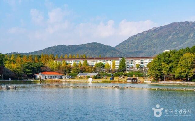 경남교육청 근처 어디 가지? 힐링부터 체험까지 4곳 추천