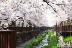 창원NC파크 가면 여기 꼭 들러야 한다는 이유