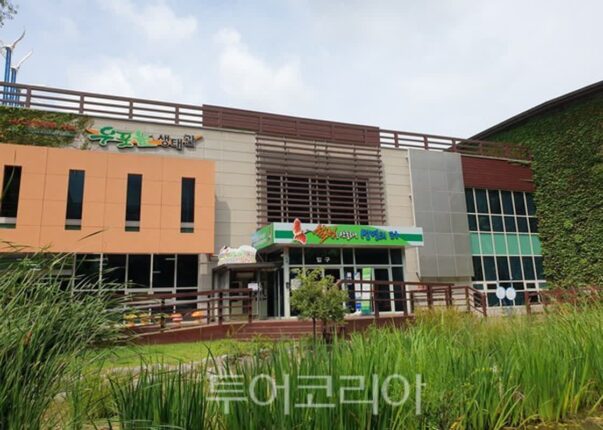 창녕에 이런 장소가? 여행 고수들이 추천하는 명소 베스트4