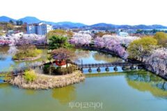 [포토] 춘몽(春夢)일까! 꿈같은 봄꽃 풍경 그리는 창녕