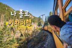 기차 여행 TOP 3 칙칙폭폭 달리는 선로 따라 떠나는 혼자 힐링 여행