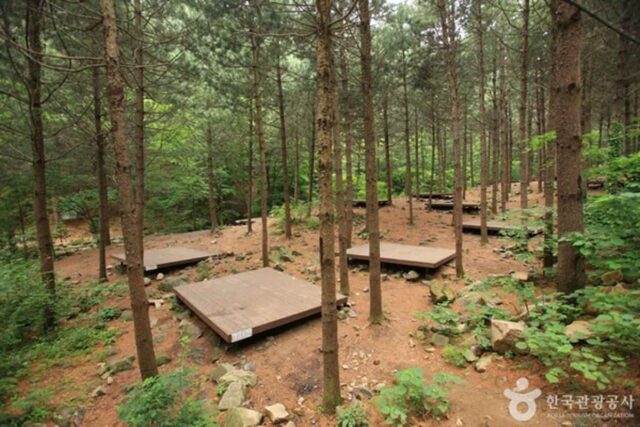 가족여행지로 인기 폭발… 국립자연휴양림 3곳이 뜬다