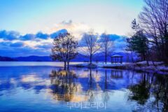 대전 가볼만한 곳 4선…왜 이 명소들이 인기일까