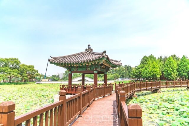 전주 한옥마을만 아는 당신? 지금 주목해야 할 4곳