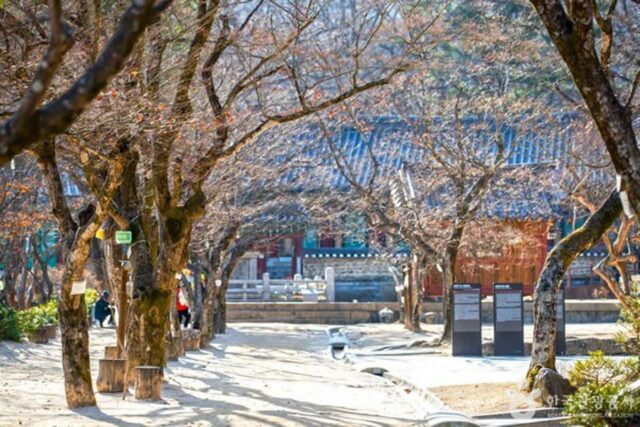 김천연화지만 보고 올 거야? 근처 숨은 명소 3곳