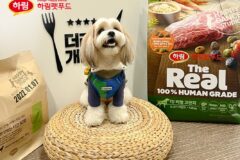 ‘개슐랭식당 어때요?’ 하림펫푸드, 반려견과 함께하는 해피댄스스튜디오 투어 확대 운영
