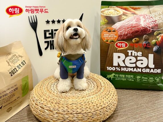 ‘개슐랭식당 어때요?’ 하림펫푸드, 반려견과 함께하는 해피댄스스튜디오 투어 확대 운영