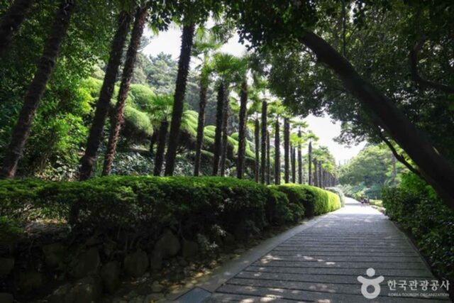 나만 알고 싶은 거제 3곳…사진 한 장에 반해버렸다
