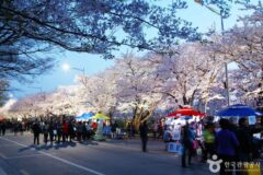 4월 초 영등포, 날씨만 보면 떠날 곳이 보인다