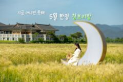 5월 국내 여행지 추천, 폭삭 속았수다 청보리밭처럼 로맨틱한 한국 여행