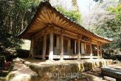 강진에 이런 곳이? 가우도부터 다산초당까지 찐 명소 4