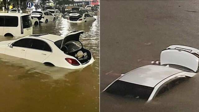 “이런 차엔 절대 손대지 마세요” 중고차 살 때 알아야할 꿀팁