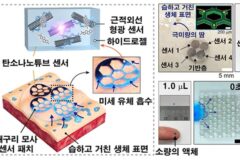 흘리는 땀이 적어도 분석 가능한 광학 바이오센서 패치