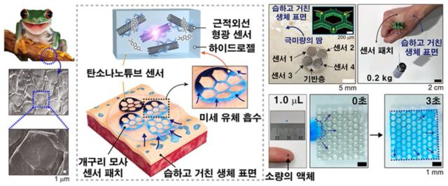 흘리는 땀이 적어도 분석 가능한 광학 바이오센서 패치