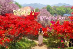 4월 여행지 추천, 최상의 계절에 즐기는 전주 데이트 코스 4