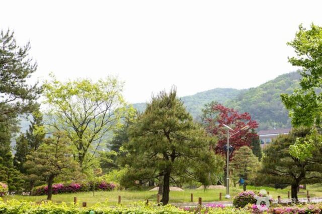 청주 여행, 어디를 가야 할까? 역사와 자연이 어우러진 명소 탐방