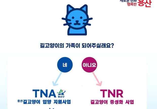 용산구, 전국 최초! 길고양이 입양 지원사업(TNA) 추진
