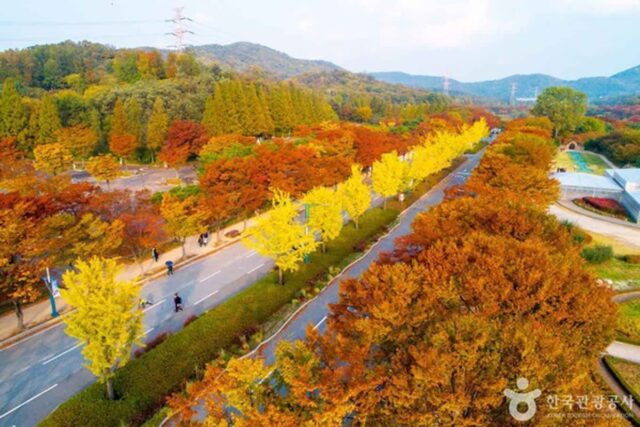 인천대공원 주변 놀만한 장소는 어디일까