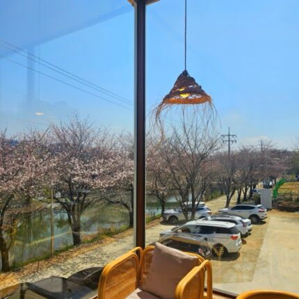 경기도 벚꽃명소 도나스데이 수원 에서 황구지천까지