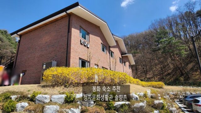 봉화 펜션형 숙소 추천 정자문화생활관 솔향촌